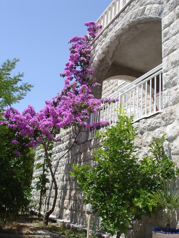 Guest House Franica & Pero Lobrovic Slano Exterior photo